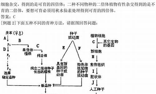 高考生物遗传题知识点,高考生物遗传知识点