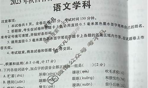 陕西高考语文2020,陕西2024高考语文