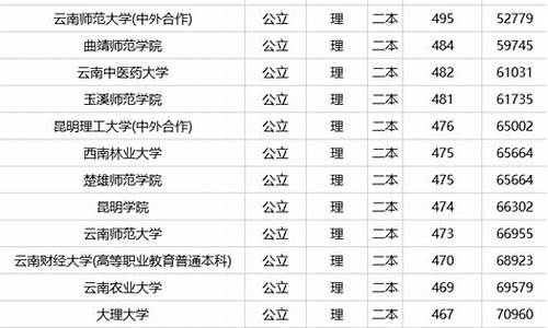 云南二本公办大学排名及分数线,云南二本公办大学排名及分数线