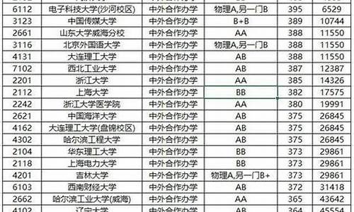 高考中外合资-高考中外合资学校条件